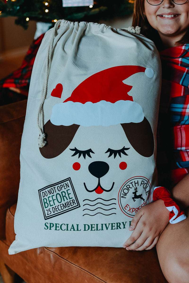 🎅 Ready to Ship |  Puppy Santa Sacks