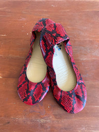 Crimson Red Snakes